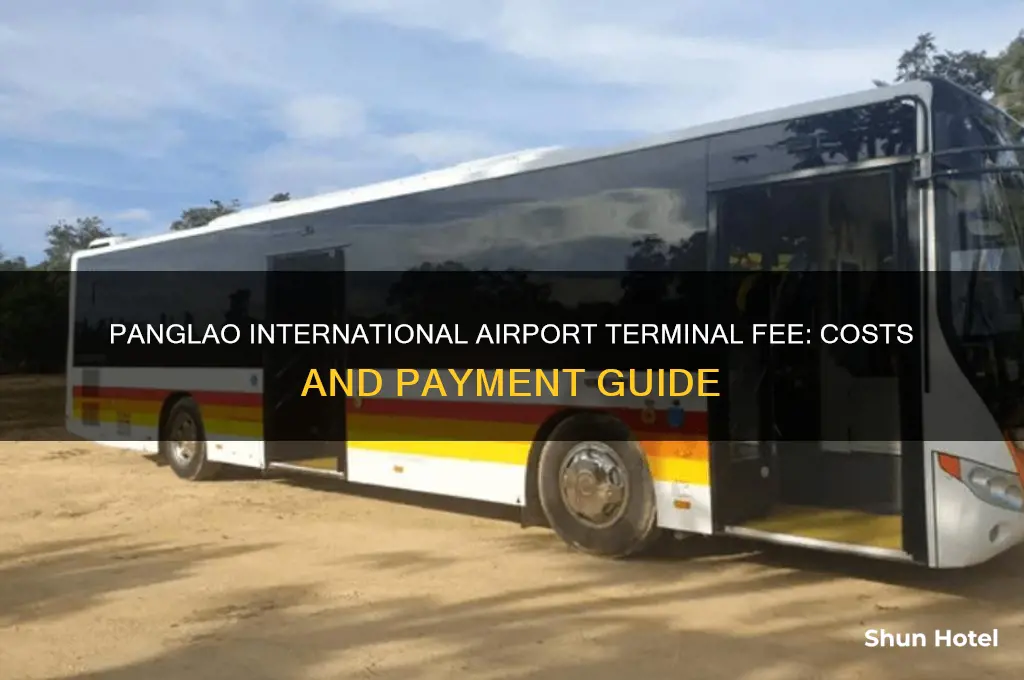 how much is the panglao international airport terminal fee