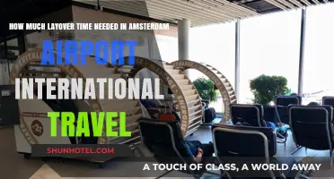 Navigating Amsterdam Airport: Optimal Layover Time for International Flights