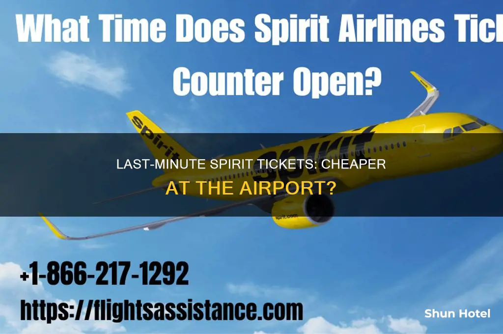 how much less i can get spirit ticket at airport