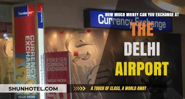 Delhi Airport Money Exchange: How Much Can You Get?