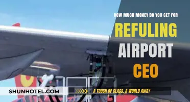 Airport CEO Refueling Profits: Understanding Earnings and Financial Rewards
