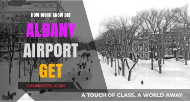 Albany Airport Snowfall: How Much Snow Did It Receive?