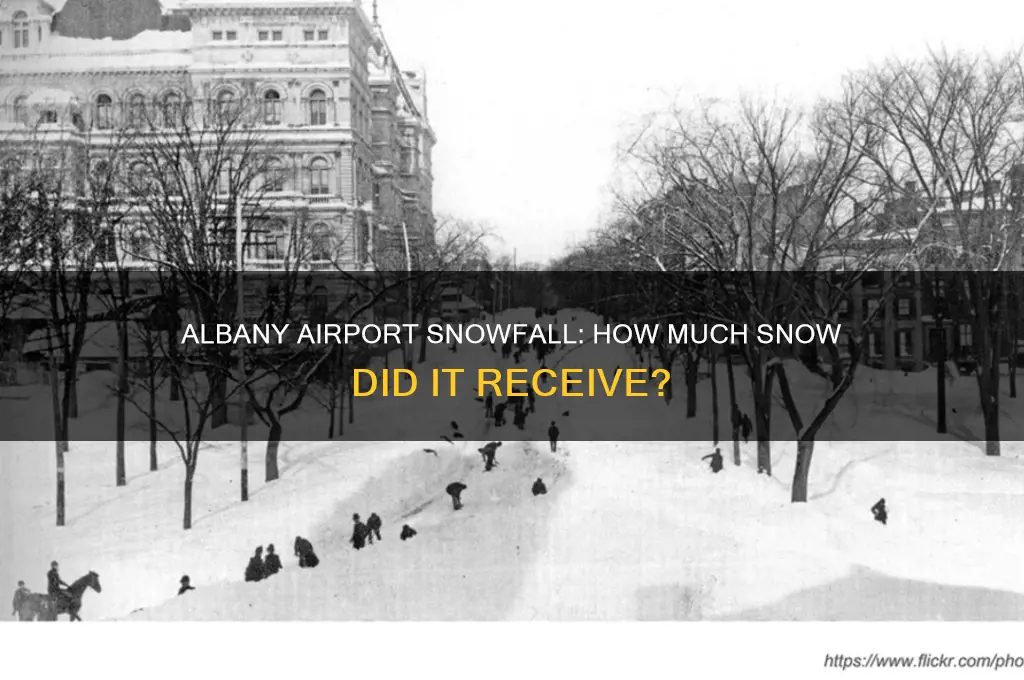 how much snow did albany airport get