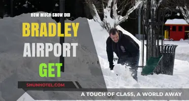 Bradley Airport Snowfall: How Much Accumulated During the Storm?