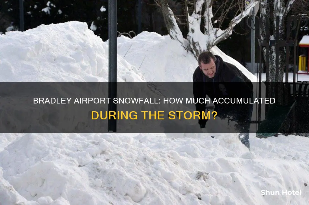 how much snow did bradley airport get