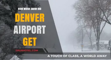 Denver Airport Snowfall: How Much Accumulation Did It Receive?