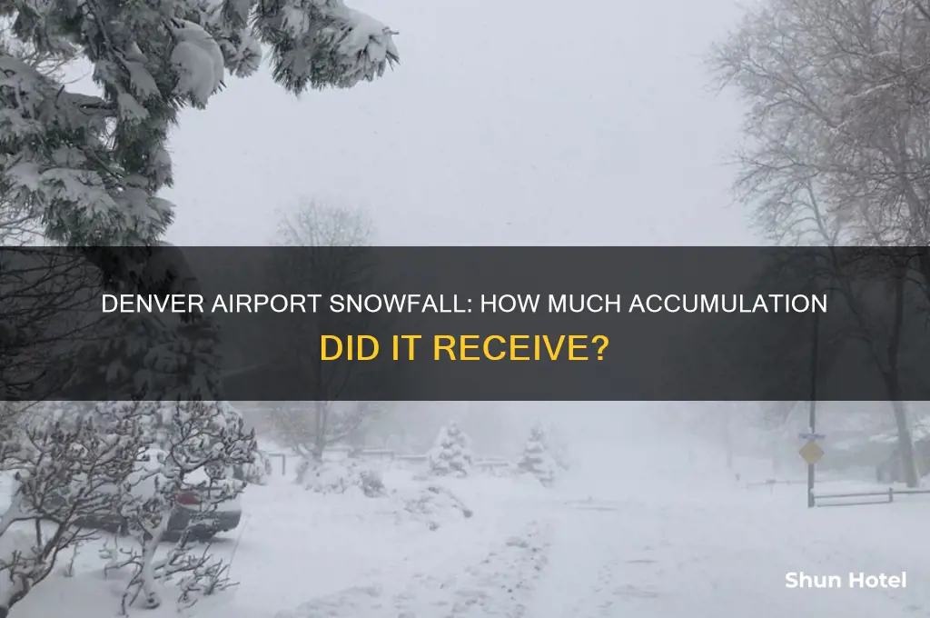 how much snow did denver airport get