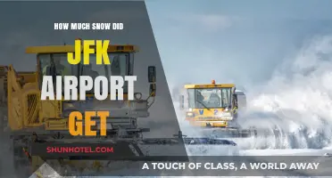JFK Airport Snowfall: How Much Snow Did It Receive?