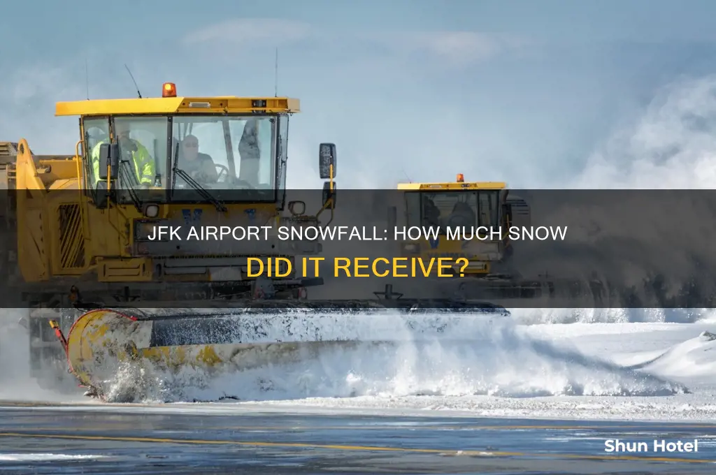 how much snow did jfk airport get