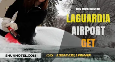 LaGuardia Airport Snowfall: How Much Snow Did It Get?
