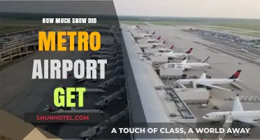 Metro Airport Snowfall: How Much Accumulation Did Detroit Receive?