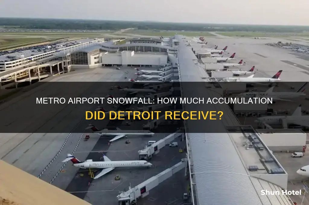 how much snow did metro airport get