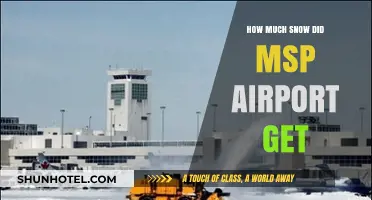 MSP Airport Snowfall Update: How Much Snow Did It Get?