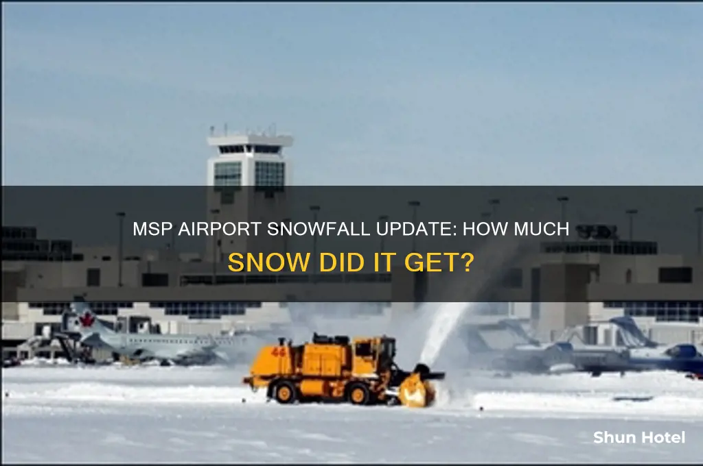 how much snow did msp airport get