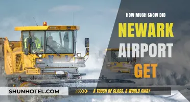 Newark Airport Snowfall: How Much Snow Did It Get?