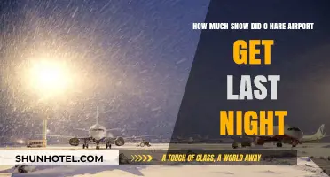 O'Hare Airport Snowfall Update: Last Night's Accumulation Revealed
