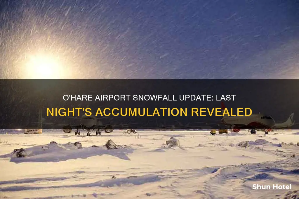how much snow did o hare airport get last night