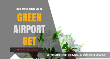 TF Green Airport Snowfall: How Much Accumulated During the Storm?