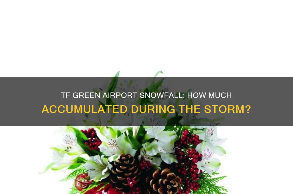 how much snow did tf green airport get