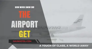 Airport Snowfall Update: How Much Snow Did the Airport Get?
