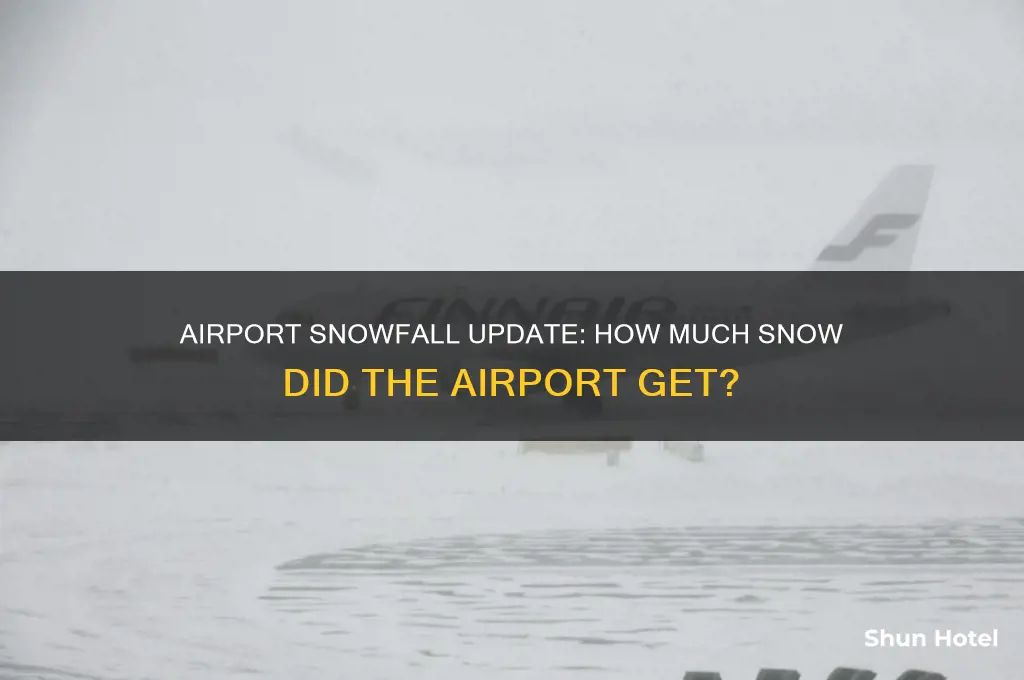 how much snow did the airport get