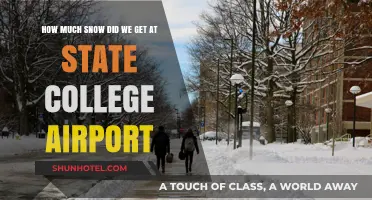 State College Airport Snowfall: How Much Did We Get?