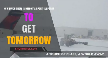 Detroit Airport Snow Forecast: Tomorrow's Expected Accumulation and Travel Impact