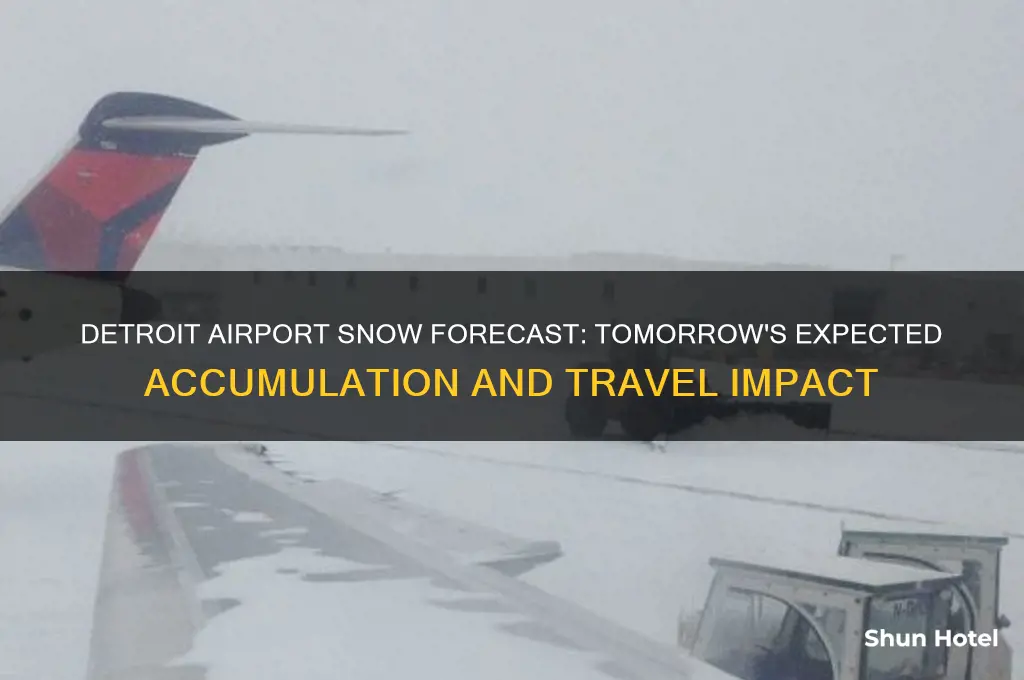 how much snow is detroit airport supposed to get tomorrow