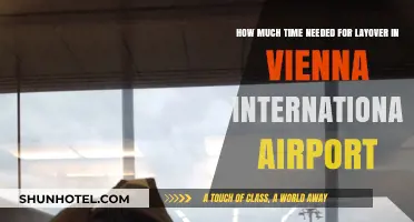 Optimal Layover Time at Vienna International Airport: A Quick Guide