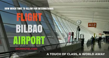 Bilbao Airport International Flight Timing: How Much Time to Allow?