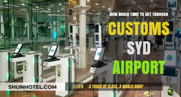 Navigating Sydney Airport Customs: Average Wait Times and Tips