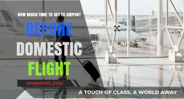 Domestic Flight Prep: Optimal Time to Arrive at the Airport