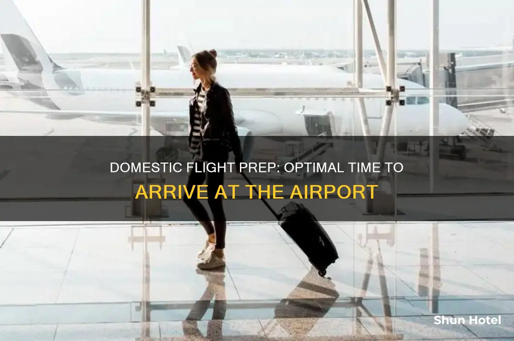 how much time to get to airport before domestic flight