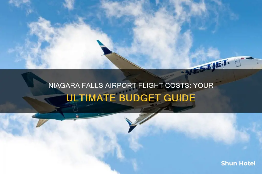 how much to fly from niagara falls international airport