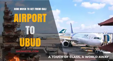 Bali Airport to Ubud: Transport Costs and Travel Tips