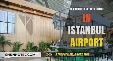 Istanbul Airport Lounge Access: Entry Costs and Benefits Revealed