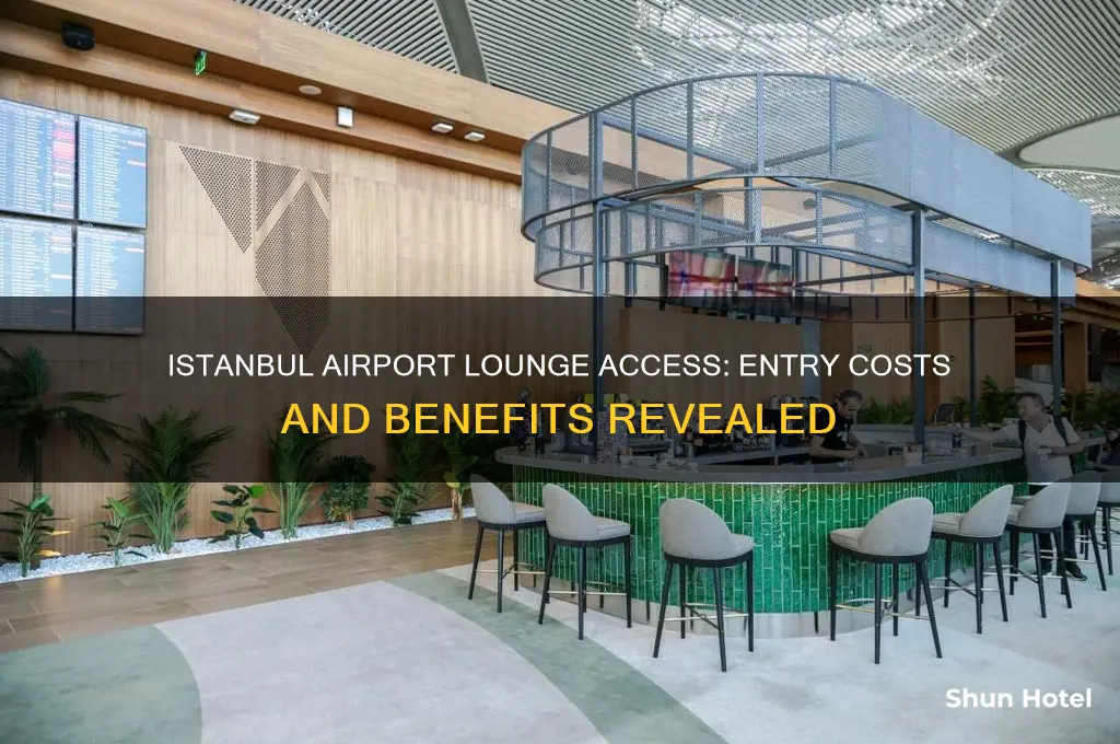 how much to get into lounge in istanbul airport