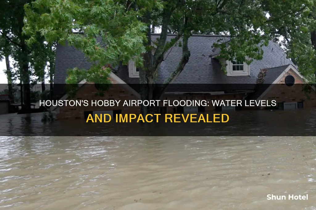 how much water did hobby airport get in houston texas