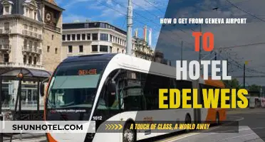 Traveling from Geneva Airport to Hotel Edelweis: Easy Transport Options