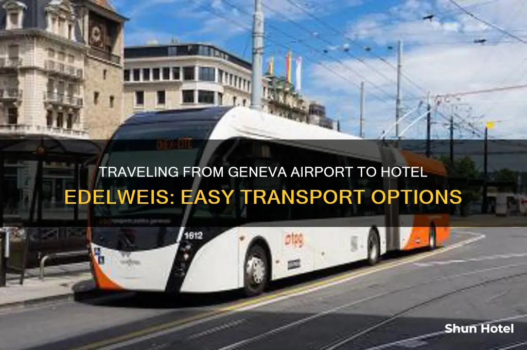 how o get from geneva airport to hotel edelweis