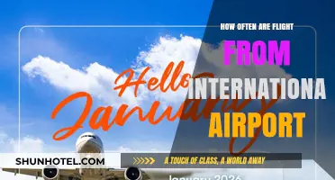 Flight Frequency at International Airports: How Often Do Planes Depart?
