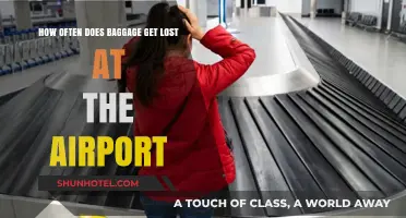 How Often Does Baggage Get Lost at Airports?