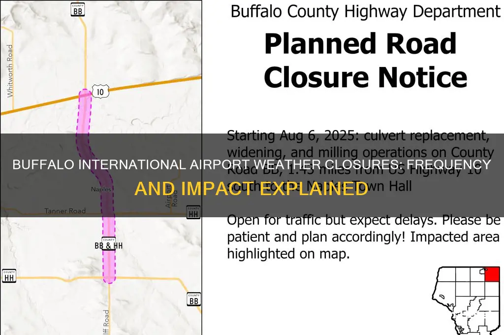 how often does buffalo international airport close due to weather
