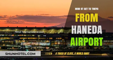 Easiest Ways to Travel from Haneda Airport to Tokyo City Center
