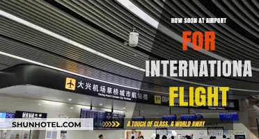 Arriving Early: Optimal Timing for International Flight Check-In