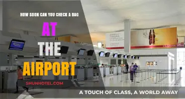 Checking Bags: How Early Can You Check In?