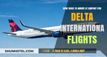 Delta International Flights: Optimal Airport Arrival Time Guide