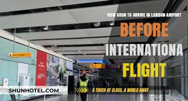 Arriving Early: Optimal Timing for International Flights at London Airports