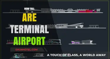 Exploring the Heights: A Guide to Terminal Airport Elevations