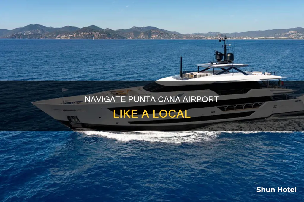 how to avoid custom line at punta cana airport